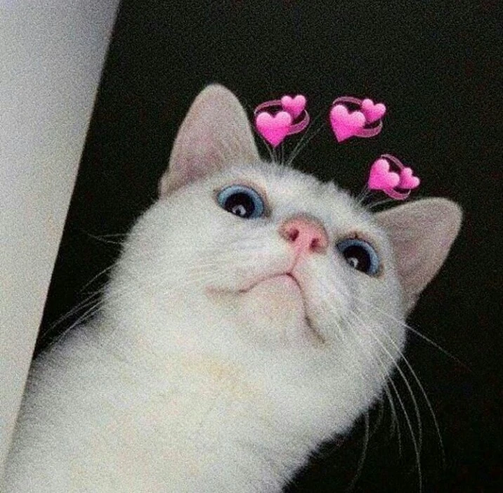 TOPUPKU Panel | #BestDistributor SMM Panel, Pulsa, Topup Game No.1 Indonesia